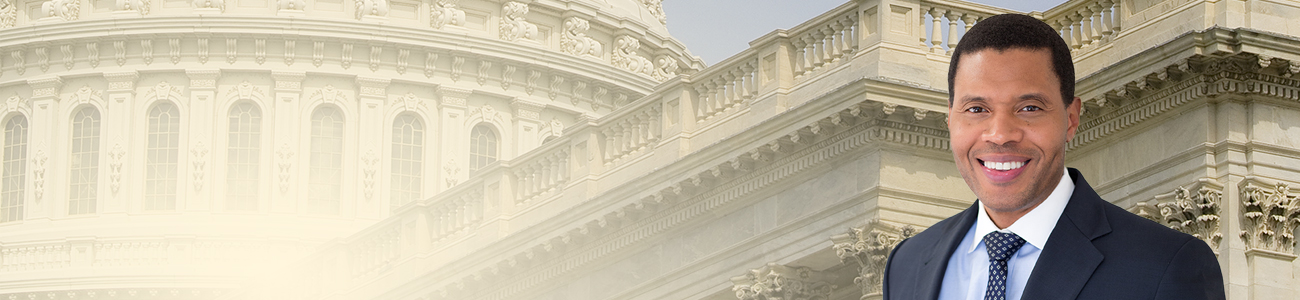 Attorney with Government building as a background